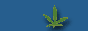 legalize